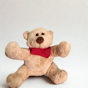 kids teddy bear soft toy – the perfect cuddle companion
